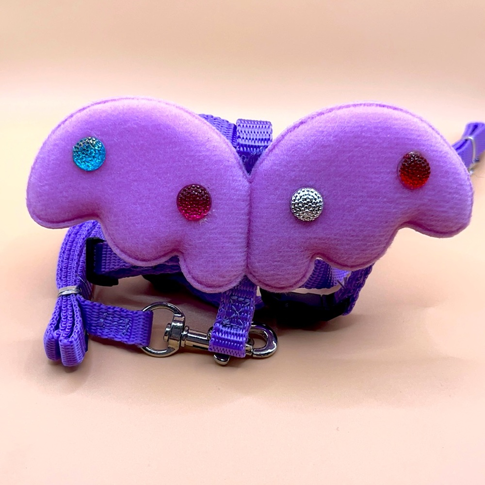 Harness with Wings and Leash for small dogs and small breed puppies.